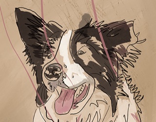 Antique dogs