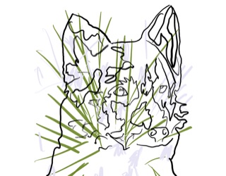 Other Dogs